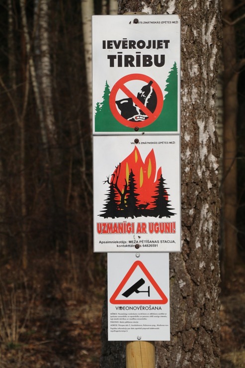 Travelnews.lv dodas 20 km pārgājienā Ozolnieku apkaimē Jelgavas novadā 351066
