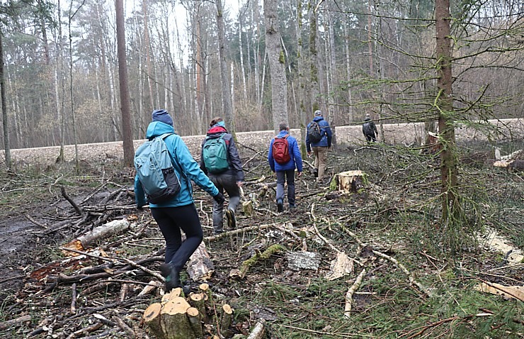 Travelnews.lv dodas 20 km pārgājienā Ozolnieku apkaimē Jelgavas novadā 351041