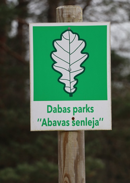 Sadarbībā ar «Europcar Latvija» dodamies 25 km «Rover» pārgājienā Kandavas apkārtnē 351986
