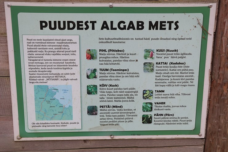 Travelnews.lv sadarbībā ar ALTA iepazīst klātienē Krievijas un Igaunijas robežu 352383