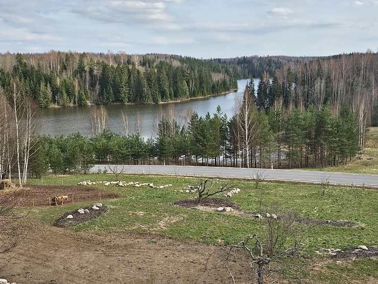 Travelnews.lv sadarbībā ar ALTA iepazīst jaunu pasākumu vietu un naktsmītni «Ilmaveere Centre» Obinitsā Travelnews.lv sadarbībā ar ALTA iepazīst jaunu pasākumu vietu un naktsmītni «Ilmaveere Centre» Obinitsā 352716