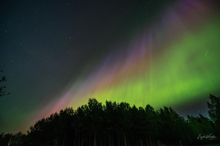Burvīgo ziemeļblāzmu Ludzā piefiksēja fotogrāfe Ligita Karvele 353607