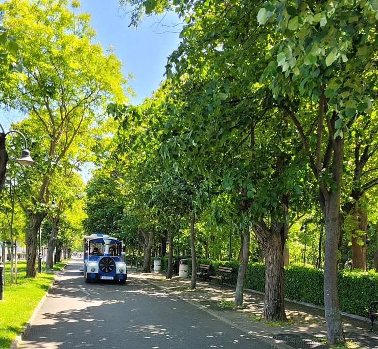 Travelnews.lv sadarbībā ar «airBaltic» iepazīst Bulgārijas Burgas pludmali un galveno tūristu ielu Travelnews.lv sadarbībā ar «airBaltic» iepazīst Bulgārijas Burgas pludmali un galveno tūristu ielu 354206