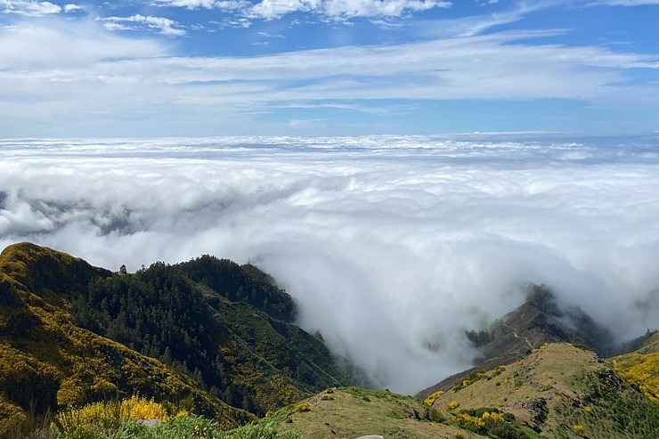 Baltijas ceļojumu konsultanti iepazīst Portugāles salu - Madeira sadarbībā ar «Madeira Selection Hotels». Foto: Agnese Zāle Baltijas ceļojumu konsultanti iepazīst Portugāles salu - Madeira sadarbībā ar «Madeira Selection Hotels». Foto: Agnese Zāle 355110