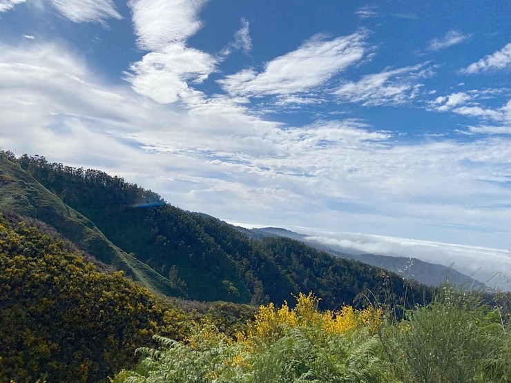 Baltijas ceļojumu konsultanti iepazīst Portugāles salu - Madeira sadarbībā ar «Madeira Selection Hotels». Foto: Agnese Zāle Baltijas ceļojumu konsultanti iepazīst Portugāles salu - Madeira sadarbībā ar «Madeira Selection Hotels». Foto: Agnese Zāle 355124
