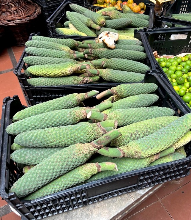 Baltijas ceļojumu konsultanti iepazīst Portugāles salu - Madeira sadarbībā ar «Madeira Selection Hotels». Foto: Agnese Zāle Baltijas ceļojumu konsultanti iepazīst Portugāles salu - Madeira sadarbībā ar «Madeira Selection Hotels». Foto: Agnese Zāle 355129