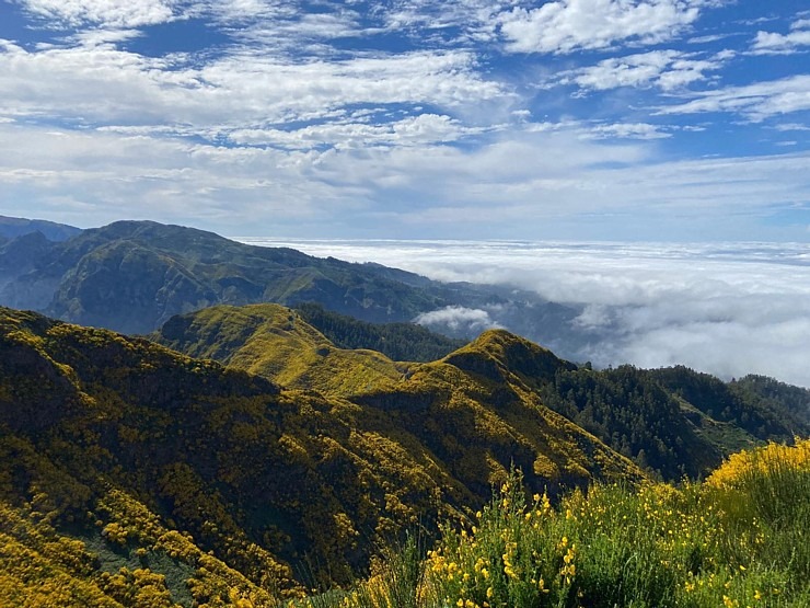 Baltijas ceļojumu konsultanti iepazīst Portugāles salu - Madeira sadarbībā ar «Madeira Selection Hotels». Foto: Agnese Zāle Baltijas ceļojumu konsultanti iepazīst Portugāles salu - Madeira sadarbībā ar «Madeira Selection Hotels». Foto: Agnese Zāle 355112