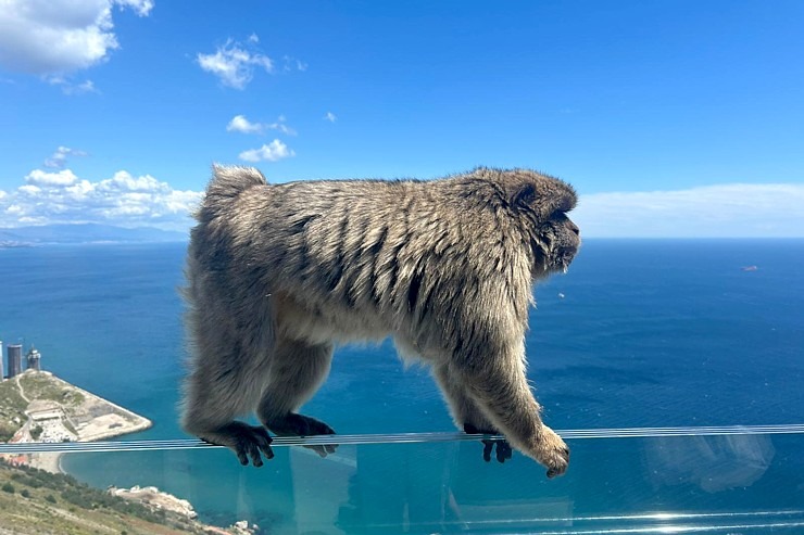 Travelnews.lv iepazīst Lielbritānijas aizjūras teritoriju - Gibraltārs 355151