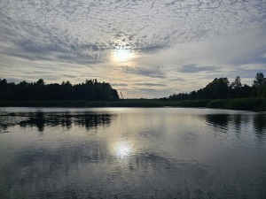 29