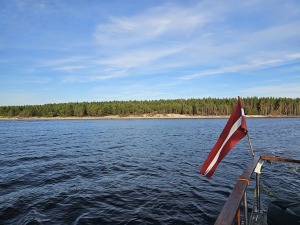39