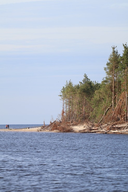 17 gadu jubileju svin Latvijas tūrisma firma «Nikos Travel» uz peldošas terases Lielupē. Foto: Kristiāns Gedus 356346