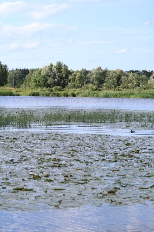 17 gadu jubileju svin Latvijas tūrisma firma «Nikos Travel» uz peldošas terases Lielupē. Foto: Kristiāns Gedus 356339