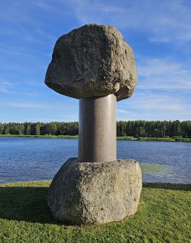 17