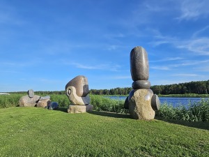 25
