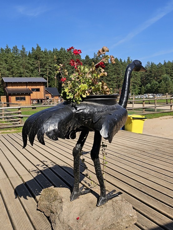 «Rakšu» brīvdabas ZOO Cēsu novadā piedāvā ne tikai kontaktu ar dzīvniekiem, bet arī teicamu infrastruktūru «Rakšu» brīvdabas ZOO Cēsu novadā piedāvā ne tikai kontaktu ar dzīvniekiem, bet arī teicamu infrastruktūru 358615