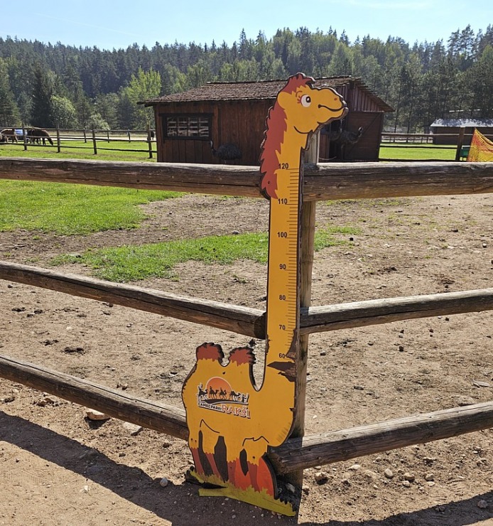 «Rakšu» brīvdabas ZOO Cēsu novadā piedāvā ne tikai kontaktu ar dzīvniekiem, bet arī teicamu infrastruktūru «Rakšu» brīvdabas ZOO Cēsu novadā piedāvā ne tikai kontaktu ar dzīvniekiem, bet arī teicamu infrastruktūru 358621