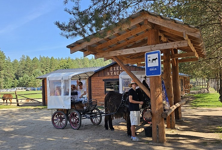 «Rakšu» brīvdabas ZOO Cēsu novadā piedāvā ne tikai kontaktu ar dzīvniekiem, bet arī teicamu infrastruktūru «Rakšu» brīvdabas ZOO Cēsu novadā piedāvā ne tikai kontaktu ar dzīvniekiem, bet arī teicamu infrastruktūru 358623