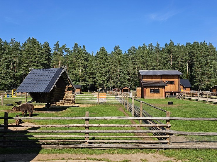 «Rakšu» brīvdabas ZOO Cēsu novadā piedāvā ne tikai kontaktu ar dzīvniekiem, bet arī teicamu infrastruktūru «Rakšu» brīvdabas ZOO Cēsu novadā piedāvā ne tikai kontaktu ar dzīvniekiem, bet arī teicamu infrastruktūru 358624