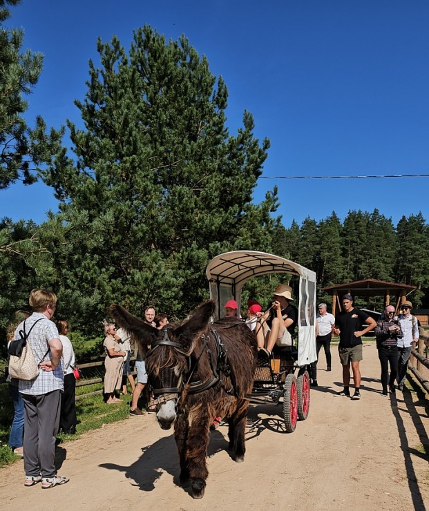 «Rakšu» brīvdabas ZOO Cēsu novadā piedāvā ne tikai kontaktu ar dzīvniekiem, bet arī teicamu infrastruktūru «Rakšu» brīvdabas ZOO Cēsu novadā piedāvā ne tikai kontaktu ar dzīvniekiem, bet arī teicamu infrastruktūru 358625