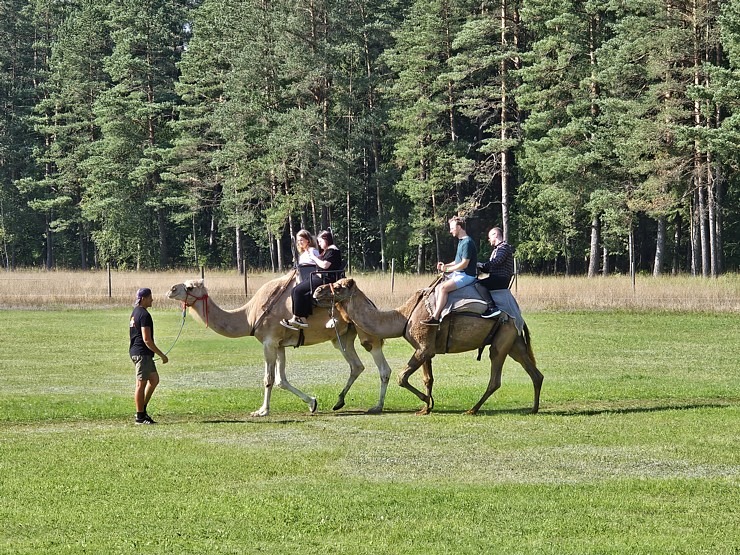 «Rakšu» brīvdabas ZOO Cēsu novadā piedāvā ne tikai kontaktu ar dzīvniekiem, bet arī teicamu infrastruktūru «Rakšu» brīvdabas ZOO Cēsu novadā piedāvā ne tikai kontaktu ar dzīvniekiem, bet arī teicamu infrastruktūru 358627