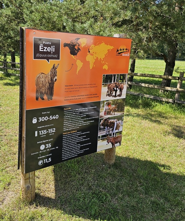 «Rakšu» brīvdabas ZOO Cēsu novadā piedāvā ne tikai kontaktu ar dzīvniekiem, bet arī teicamu infrastruktūru «Rakšu» brīvdabas ZOO Cēsu novadā piedāvā ne tikai kontaktu ar dzīvniekiem, bet arī teicamu infrastruktūru 358631
