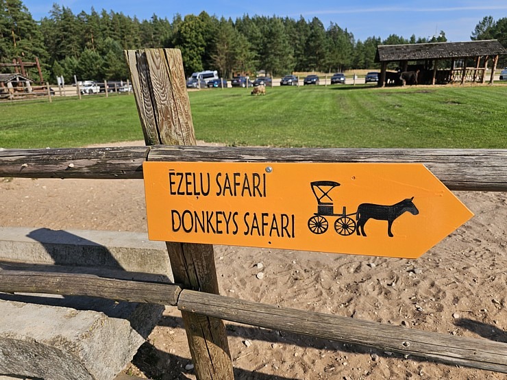 «Rakšu» brīvdabas ZOO Cēsu novadā piedāvā ne tikai kontaktu ar dzīvniekiem, bet arī teicamu infrastruktūru «Rakšu» brīvdabas ZOO Cēsu novadā piedāvā ne tikai kontaktu ar dzīvniekiem, bet arī teicamu infrastruktūru 358632
