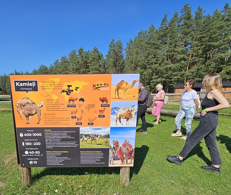 «Rakšu» brīvdabas ZOO Cēsu novadā piedāvā ne tikai kontaktu ar dzīvniekiem, bet arī teicamu infrastruktūru «Rakšu» brīvdabas ZOO Cēsu novadā piedāvā ne tikai kontaktu ar dzīvniekiem, bet arī teicamu infrastruktūru 358634