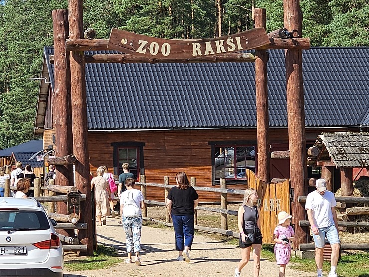 «Rakšu» brīvdabas ZOO Cēsu novadā piedāvā ne tikai kontaktu ar dzīvniekiem, bet arī teicamu infrastruktūru «Rakšu» brīvdabas ZOO Cēsu novadā piedāvā ne tikai kontaktu ar dzīvniekiem, bet arī teicamu infrastruktūru 358636