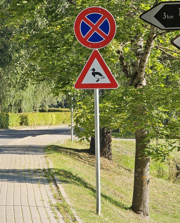Tūrisma profesionāļi sadarbībā ar LIAA Tūrisma departamentu iepazīst Vidzemes tūrisma piedāvājumu Tūrisma profesionāļi sadarbībā ar LIAA Tūrisma departamentu iepazīst Vidzemes tūrisma piedāvājumu 359192