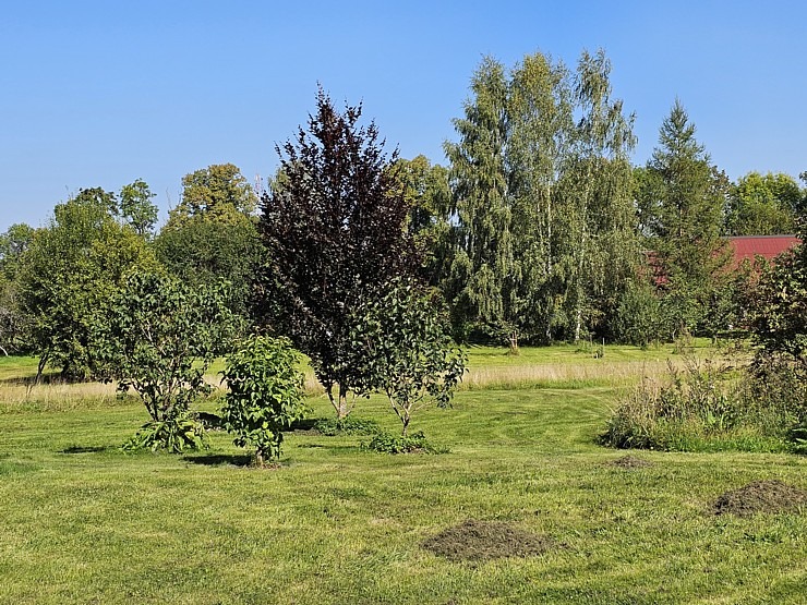 Tūrisma profesionāļi sadarbībā ar LIAA Tūrisma departamentu iepazīst Vidzemes tūrisma piedāvājumu Tūrisma profesionāļi sadarbībā ar LIAA Tūrisma departamentu iepazīst Vidzemes tūrisma piedāvājumu 359205