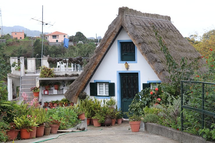Madeiras pilsētā Santana iepazīstam salas tradicionālās mājas «Casas de Colmo». Sadarbībā ar «airBaltic» Madeiras pilsētā Santana iepazīstam salas tradicionālās mājas «Casas de Colmo». Sadarbībā ar «airBaltic» 361365