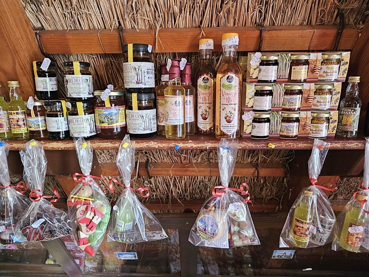 Madeiras pilsētā Santana iepazīstam salas tradicionālās mājas «Casas de Colmo». Sadarbībā ar «airBaltic» Madeiras pilsētā Santana iepazīstam salas tradicionālās mājas «Casas de Colmo». Sadarbībā ar «airBaltic» 361368
