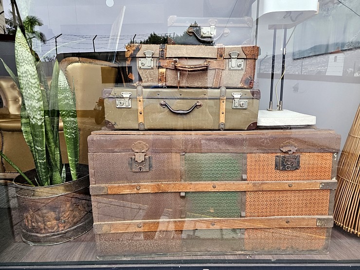 Travelnews.lv piedāvā dažus foto mirkļus no Madeiras galvaspilsētas Funšalas. Sadarbībā ar «airBaltic» Travelnews.lv piedāvā dažus foto mirkļus no Madeiras galvaspilsētas Funšalas. Sadarbībā ar «airBaltic» 362103