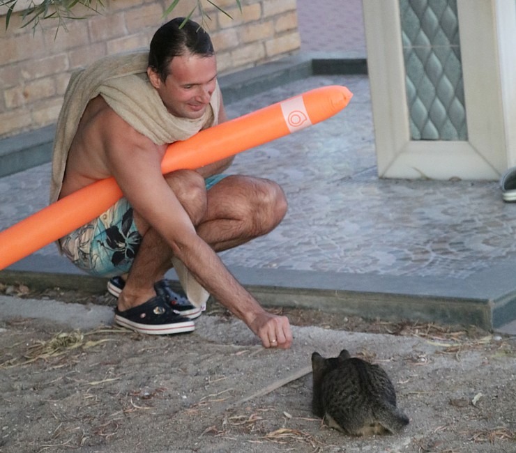 «Ali Bey Club Park Manavgat»: Vai zini kāpēc gandrīz katrā Turcijas viesnīcā dzīvo kaķi? Atbilde: tāpēc, ka kaķi padzen čūskas un negantos zirnekļus. «Ali Bey Club Park Manavgat»: Vai zini kāpēc gandrīz katrā Turcijas viesnīcā dzīvo kaķi? Atbilde: tāpēc, ka kaķi padzen čūskas un negantos zirnekļus. 362609