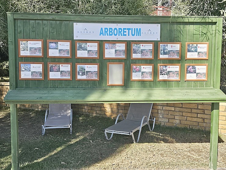 Turcijas viesnīca «Ali Bey Club Park Manavgat» piedāvā izteikti zaļu teritoriju ar dažādām aktivitātēm Turcijas viesnīca «Ali Bey Club Park Manavgat» piedāvā izteikti zaļu teritoriju ar dažādām aktivitātēm 362850