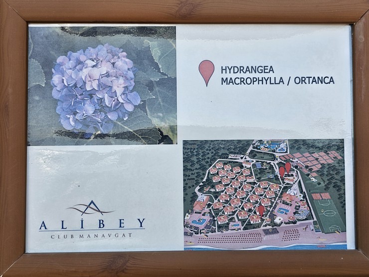 Turcijas viesnīca «Ali Bey Club Park Manavgat» piedāvā izteikti zaļu teritoriju ar dažādām aktivitātēm Turcijas viesnīca «Ali Bey Club Park Manavgat» piedāvā izteikti zaļu teritoriju ar dažādām aktivitātēm 362851