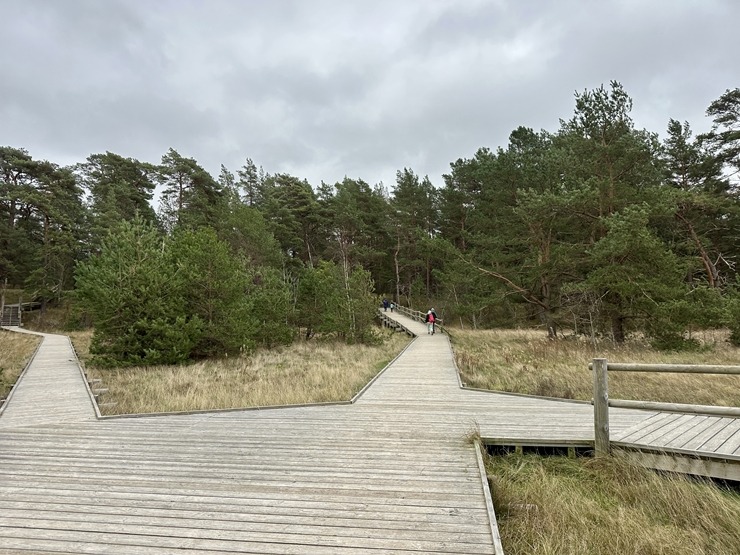 Daži fotomirkļi no pārgājienu seriāla «IzPēDO Dienvidkurzemi» Bernātu posma. Foto: Dienvidkurzeme.Travel Daži fotomirkļi no pārgājienu seriāla «IzPēDO Dienvidkurzemi» Bernātu posma. Foto: Dienvidkurzeme.Travel 363955