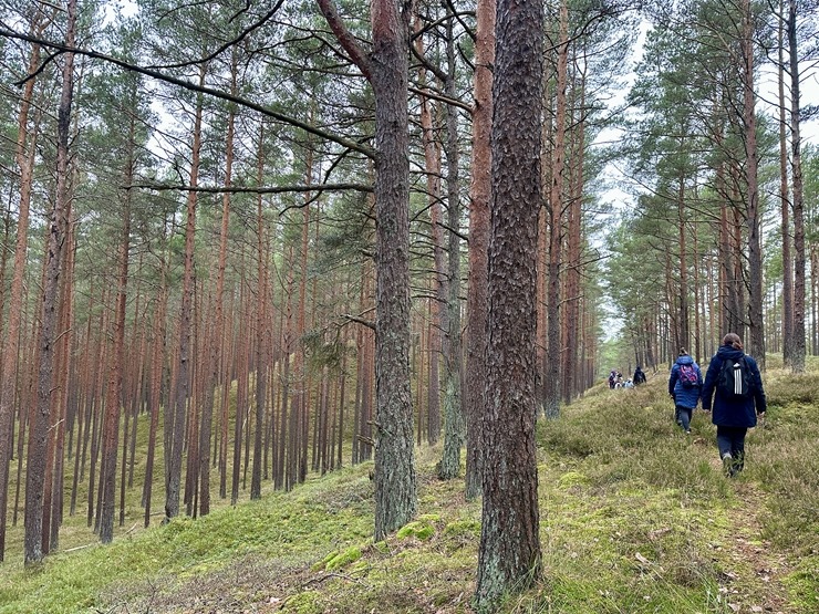 Daži fotomirkļi no pārgājienu seriāla «IzPēDO Dienvidkurzemi» Bernātu posma. Foto: Dienvidkurzeme.Travel Daži fotomirkļi no pārgājienu seriāla «IzPēDO Dienvidkurzemi» Bernātu posma. Foto: Dienvidkurzeme.Travel 363942