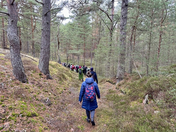 Daži fotomirkļi no pārgājienu seriāla «IzPēDO Dienvidkurzemi» Bernātu posma. Foto: Dienvidkurzeme.Travel Daži fotomirkļi no pārgājienu seriāla «IzPēDO Dienvidkurzemi» Bernātu posma. Foto: Dienvidkurzeme.Travel 363945