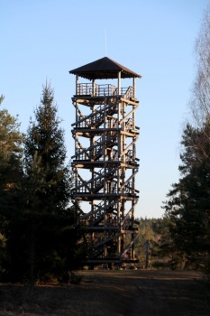 32