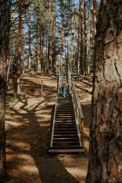 Apmeklētājiem atkal pieejama Ragakāpas dabas taka Jūrmalā 369438