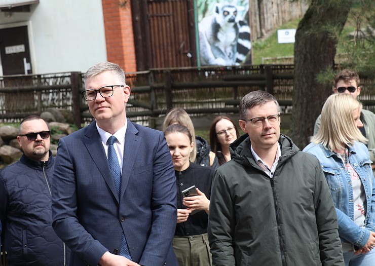 Rīgas Zoodārzs aicina uz randiņu ar Amūras tīģeru saimi, kuriem ir divi jauki mazuļi 370135