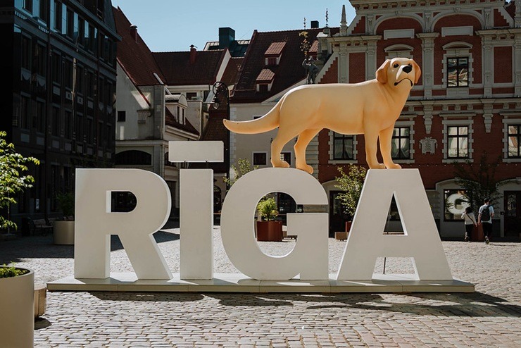 Kaķis, suns, kapibara un lemurs - ar kuriem «Straumes» varoņiem jau paguvāt sabildēties? 371632
