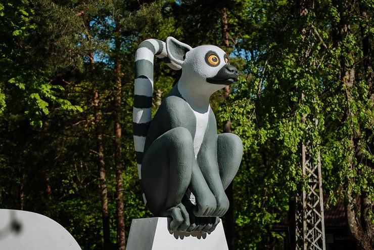 Kaķis, suns, kapibara un lemurs - ar kuriem «Straumes» varoņiem jau paguvāt sabildēties? 371623