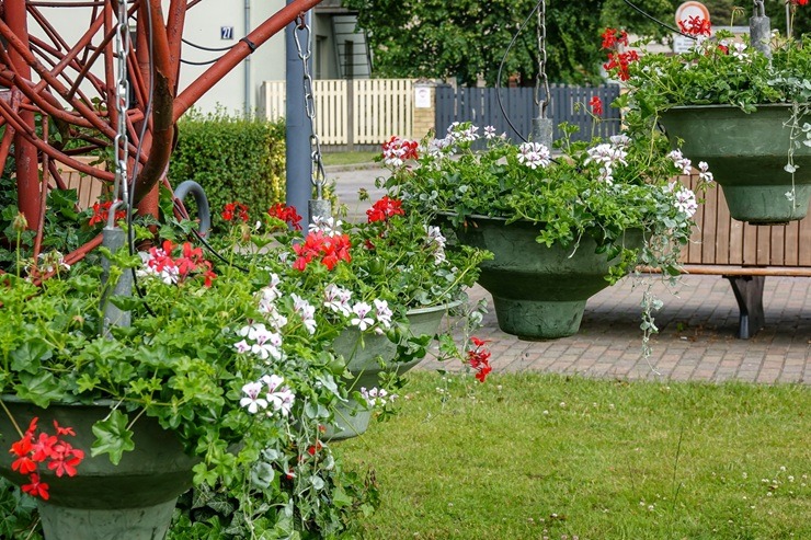 Ventspils sapošas Vasaras saulgriežiem 372728