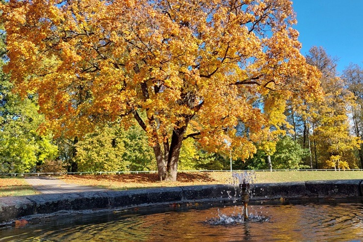 Zelta rudens priecē Alūksnes iedzīvotājus un viesus 379141