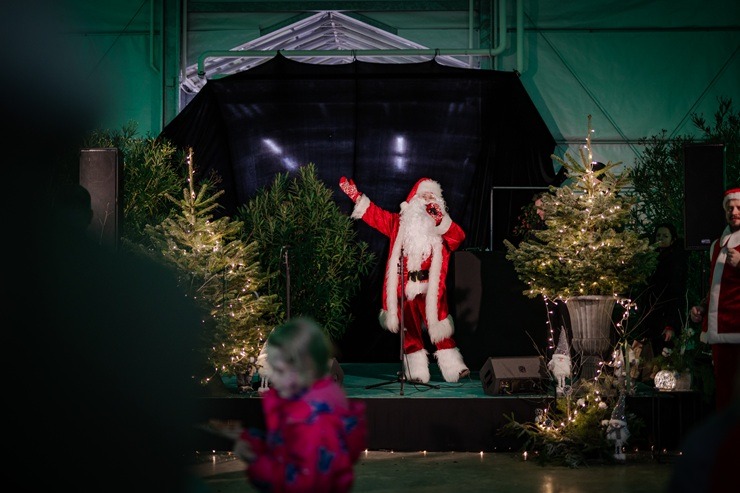 Ziemassvētku sajūtas aicina piedzīvot Salaspils «Brīnumu mežs» 382715