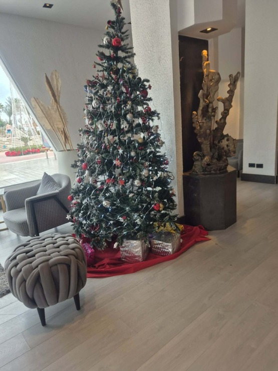 Šarm el Šeihas viesnīcas gatavojas Ziemassvētkiem un gadu mijai 382748