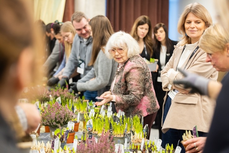 «Latvijas Tūrisma Forums 2025» ir izcila profesionālo kontaktu vieta. Foto: Reinis Oliņš 383153