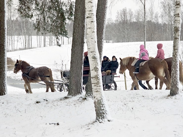 Travelnews.lv topošajā zirga gadā apmeklē zirgu sētu «Klajumi» Krāslavas novadā 384062